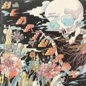 shins - Soundi.fi