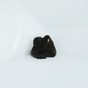chelsea-wolfe - Soundi.fi
