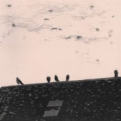 Staples - Soundifi