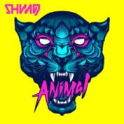Shining - Soundi.fi