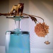 Beirut - Soundi.fi