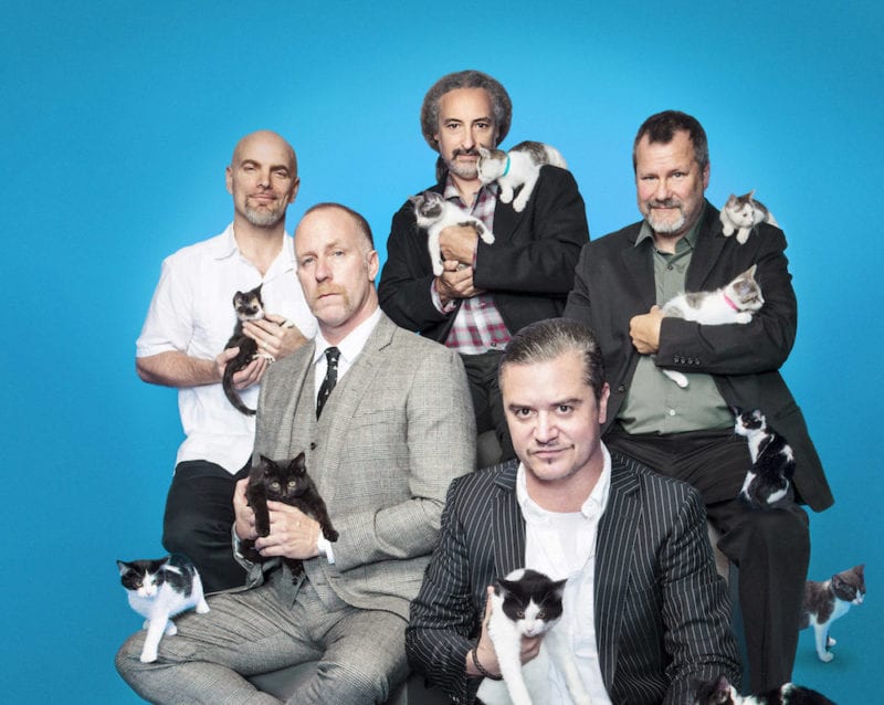 FNM_Cats_Light_Blue_Jimmy_Hubbard - Soundi.fi