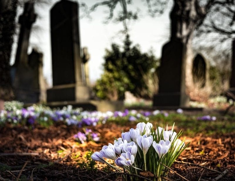 graveyard-1417871_1280 - Soundi.fi