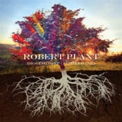 Plant - Soundifi