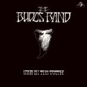 Budos - Soundi.fi