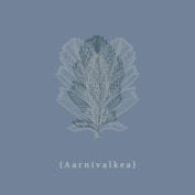 Perttula - Soundifi