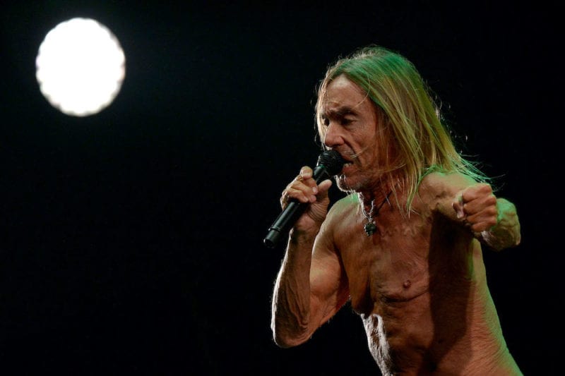 iggy17.55349289 - Soundi.fi