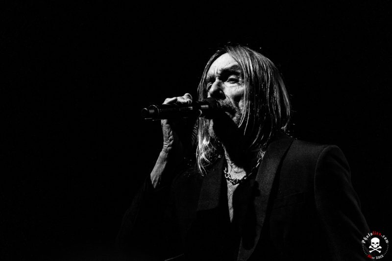 Iggy Pop16 - Soundifi