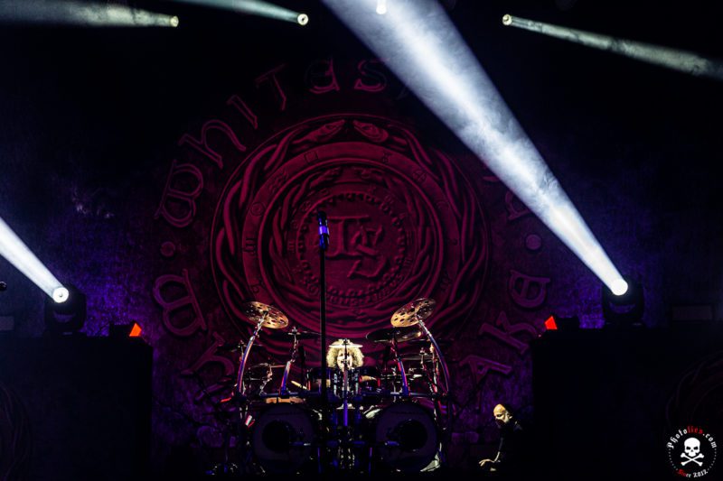 Whitesnake-1 - Soundi.fi