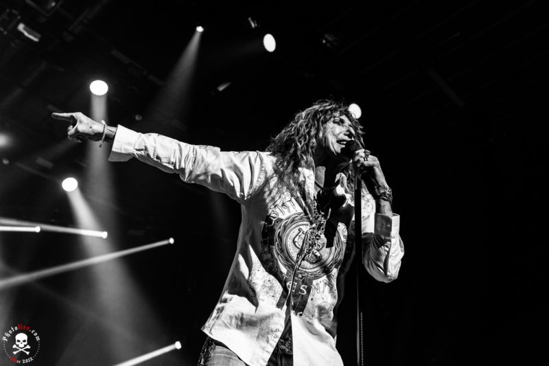 Whitesnake-4 - Soundi.fi