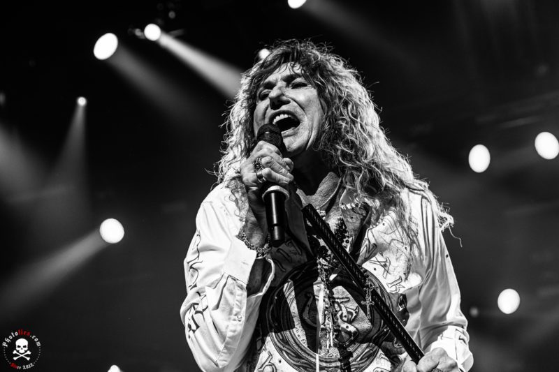 Whitesnake-5 - Soundi.fi