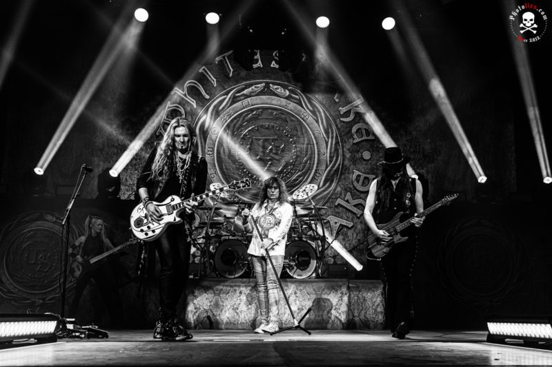 Whitesnake-8 - Soundi.fi