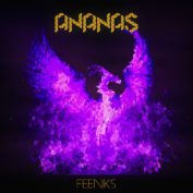 Ananas - Soundi.fi