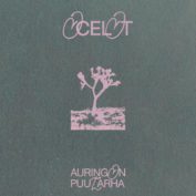 Ocelot - Soundi.fi