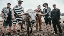 Suomalainen kaiho kohtaa klassisen pohjoisamerikkalaisen tyylin – Ensinäytössä uusi Steve ’n’ Seagulls -video
