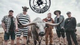 Taas banjot soivat ja lato tuoksuu: Steve’n’Seagulls tarttui todelliseen suomalaiseen ikivihreään
