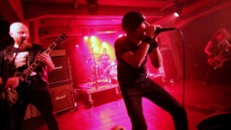 Vuosirenkaat eivät paljon painaneet – Terveet Kädet, Riistetyt, Rattus ja Mob47 Ääniwallissa