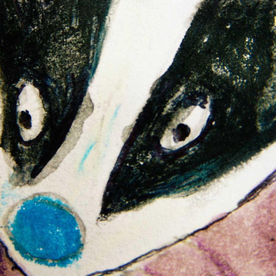 The+Badger+tigers+levynkansi_900 - Soundi.fi